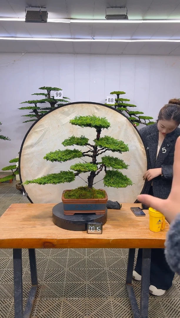 无花朵一物一拍一物一拍