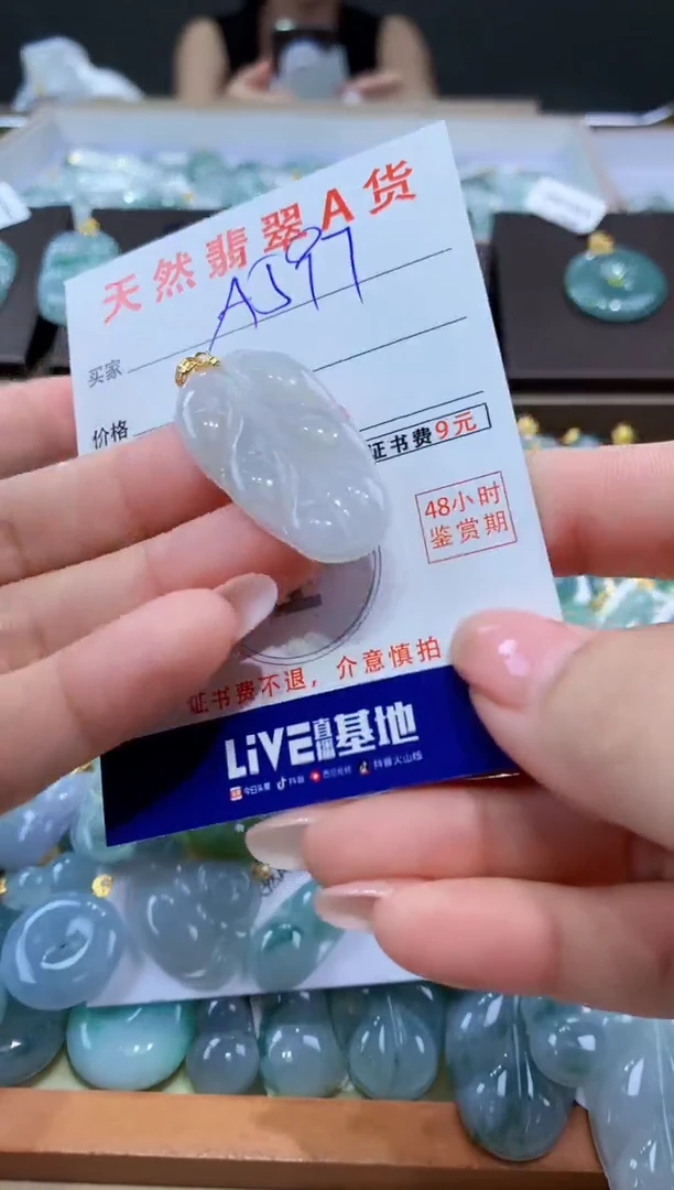 颈饰未镶嵌翡翠天然翡翠A货挂件