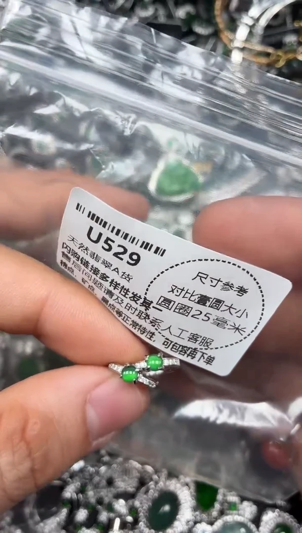 颈饰未镶嵌翡翠U529耳扣