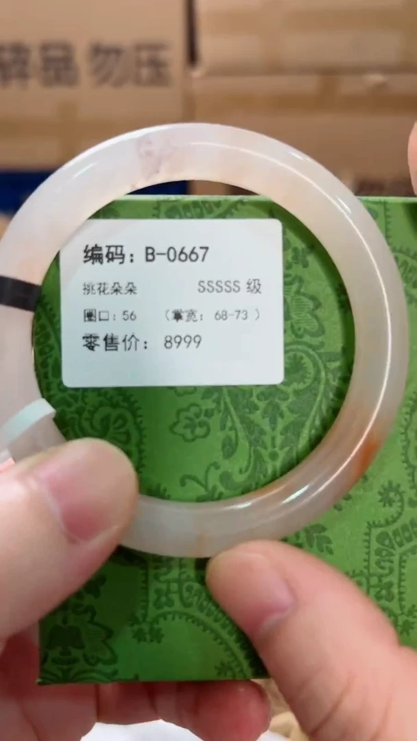未镶嵌手镯石英质玉B-0667