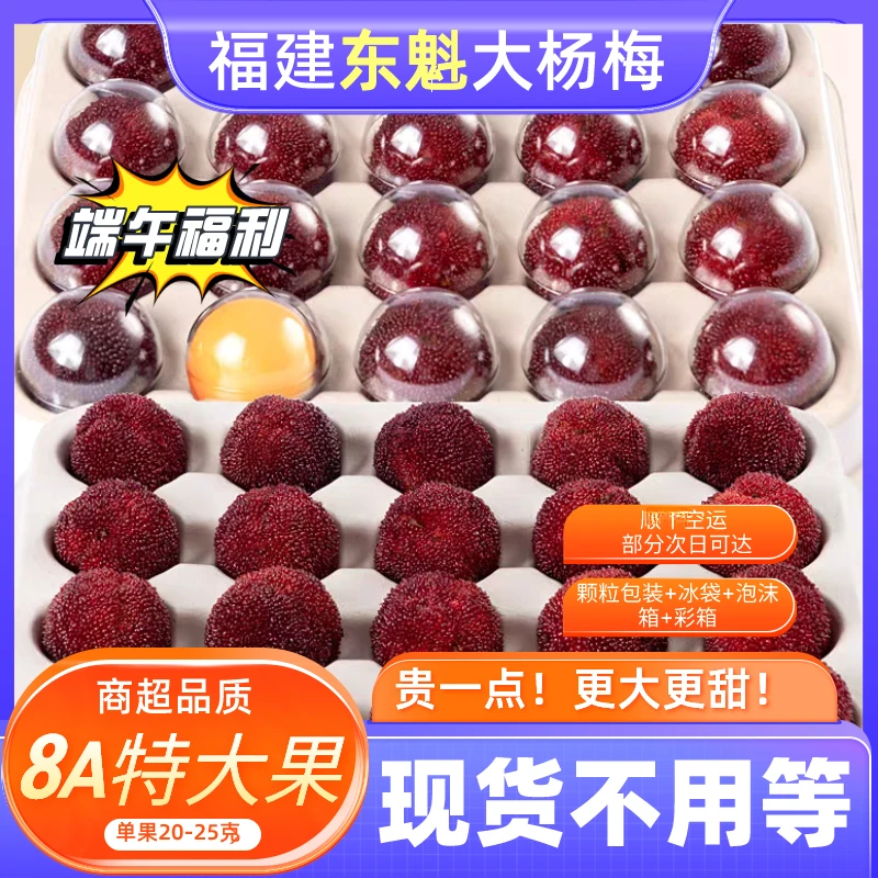 顺丰空运【端午东魁杨梅福利】福建露天东魁杨梅2025年头茬果
