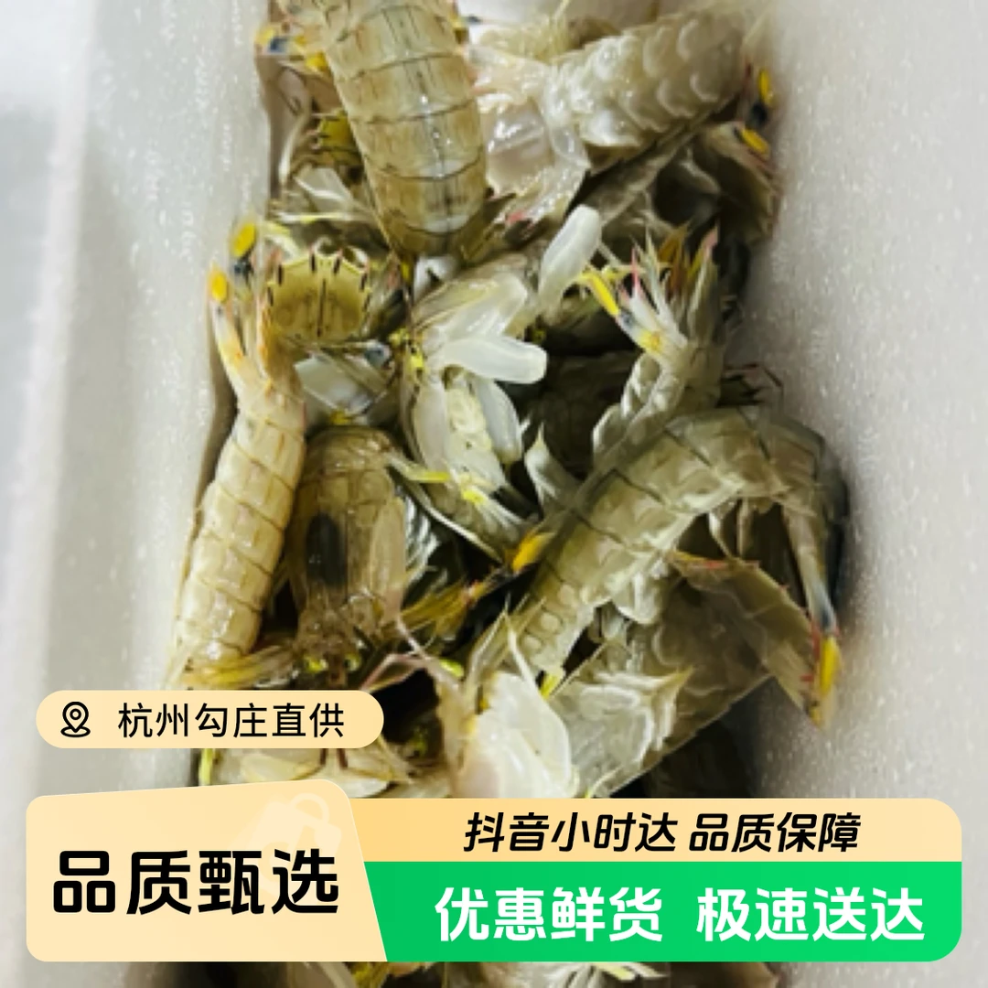 鲜活皮皮虾500g ±50g约28条左右