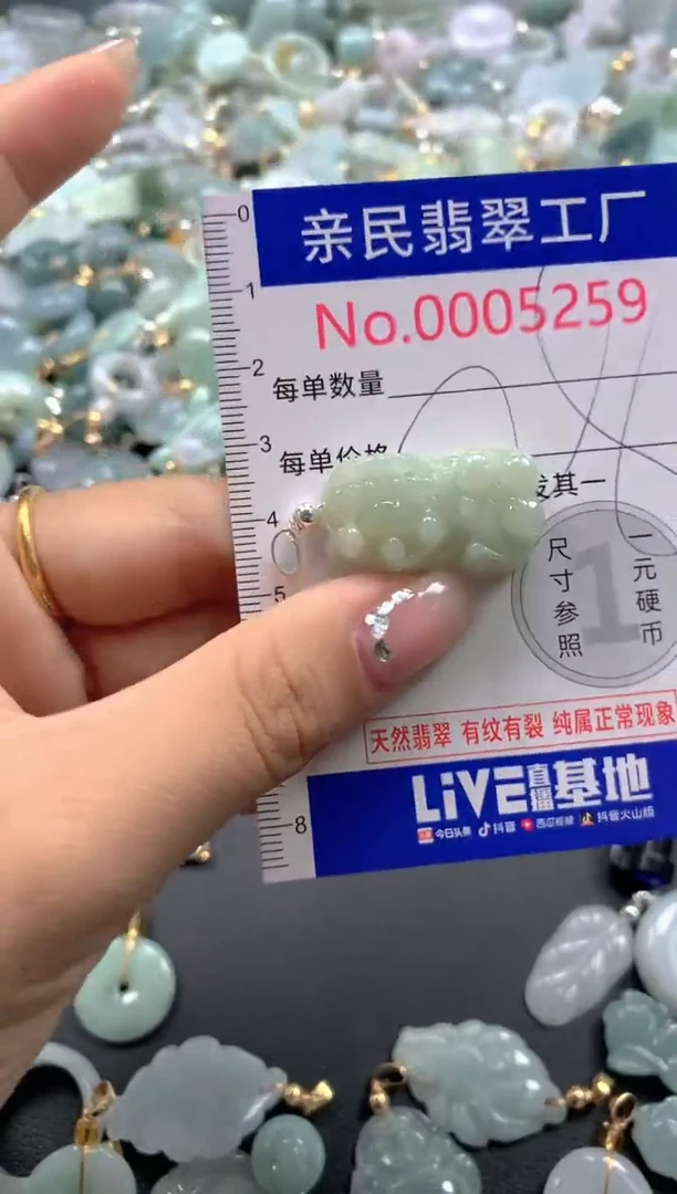 颈饰未镶嵌翡翠5259