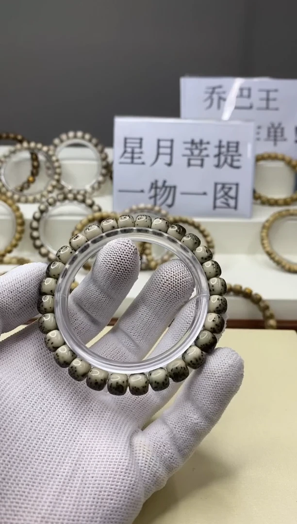 手串星月菩提一物一图-W15-304