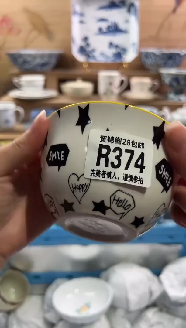 瓷片         R374