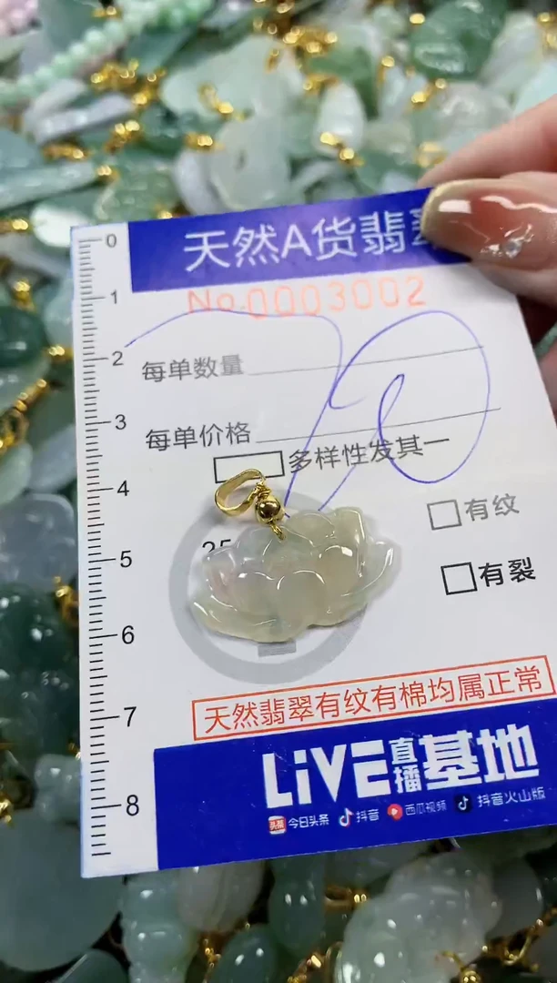 颈饰未镶嵌翡翠天然A货翡翠