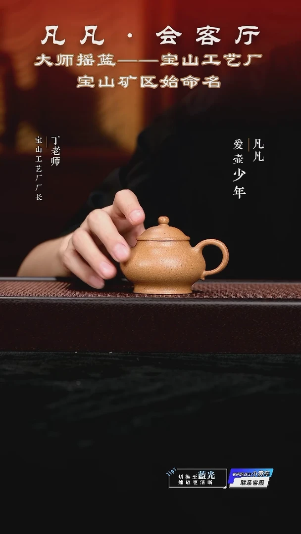 茶壶紫砂DL31 梅佳 潘壶黄降坡120cc
