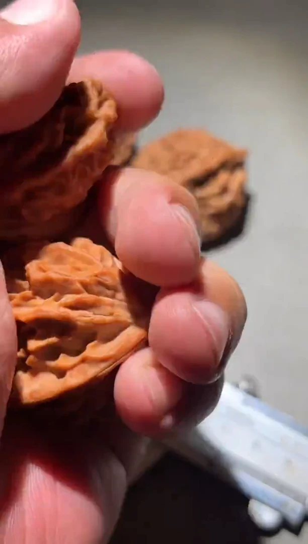 吊坠桃核知*龙鳞