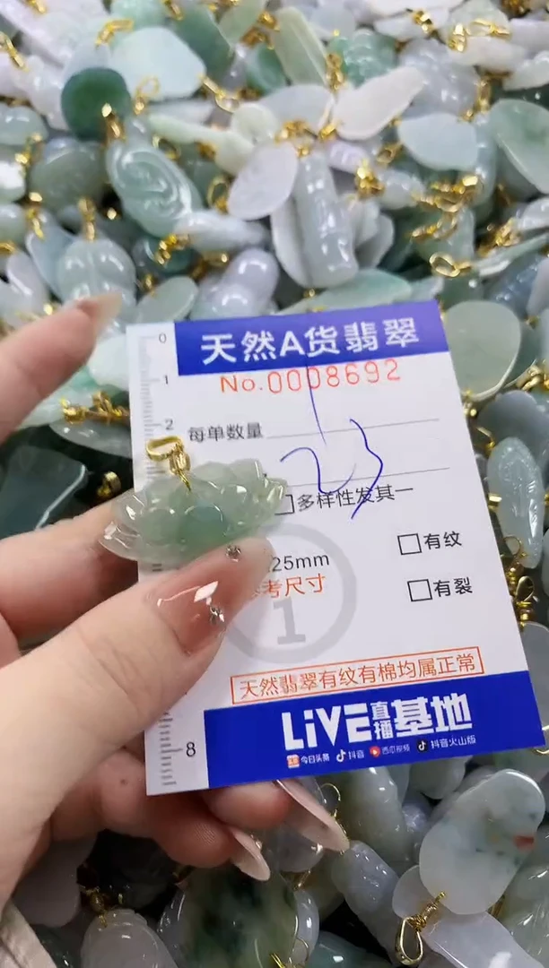 颈饰未镶嵌翡翠天然A货翡翠