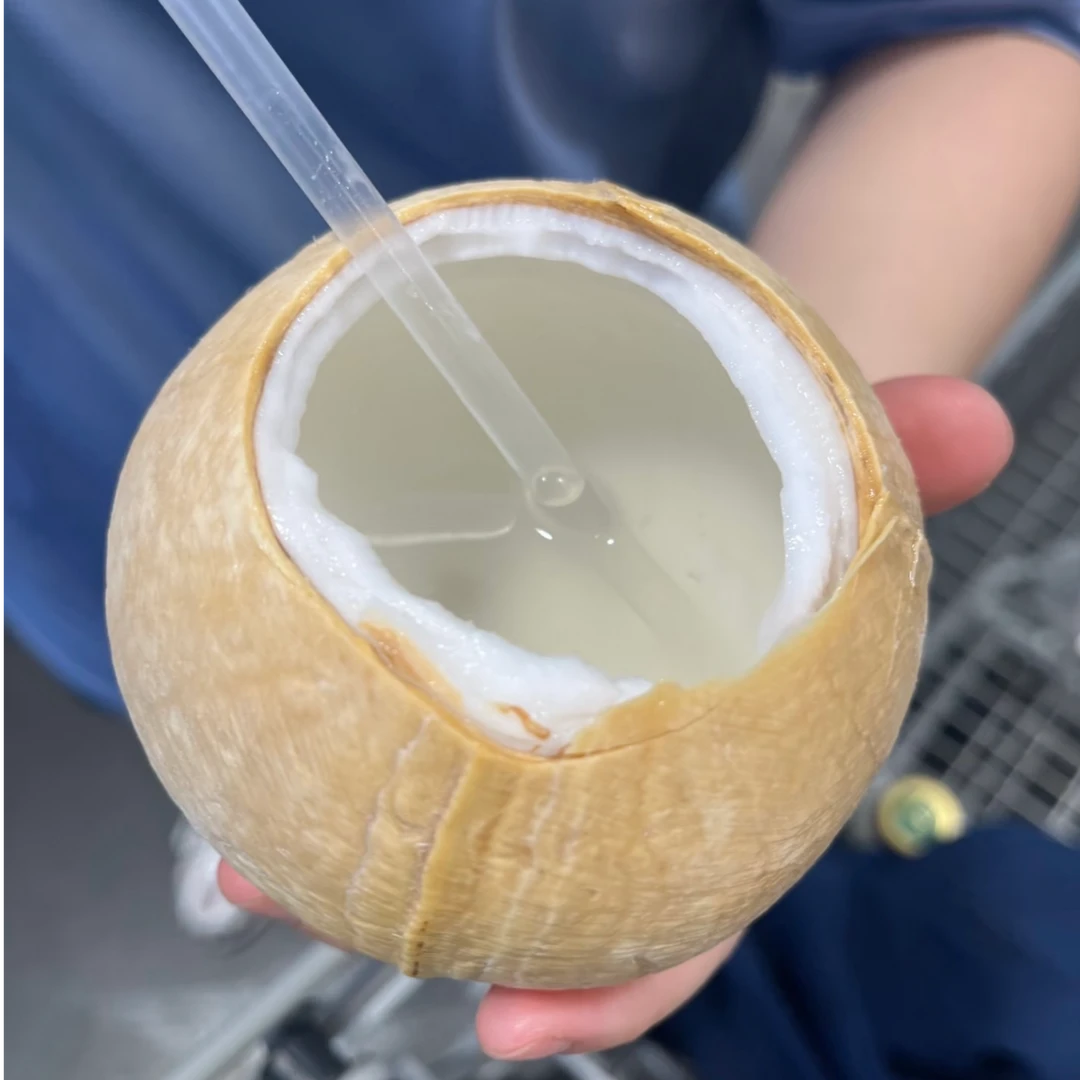 【老树椰皇】泰国空运老树椰皇3粒 顺丰包邮