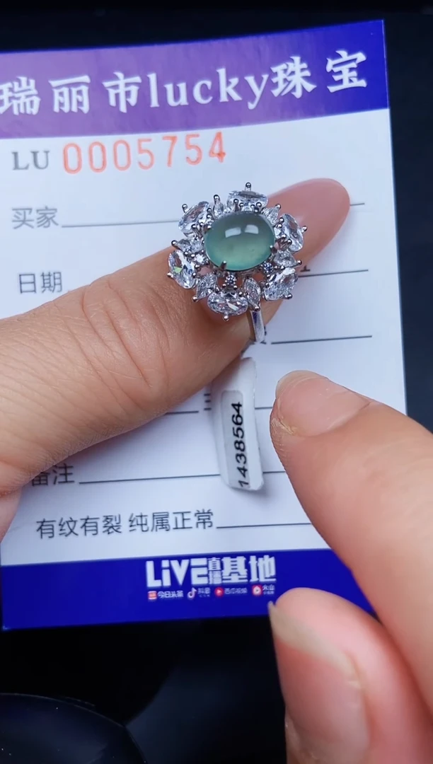 翡翠银S925镶嵌颈饰5754