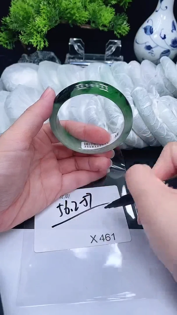 未镶嵌手镯翡翠461