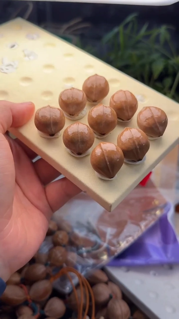 【闪购商品】橄榄核手串/手链橄榄核雕2.0梅林铁核