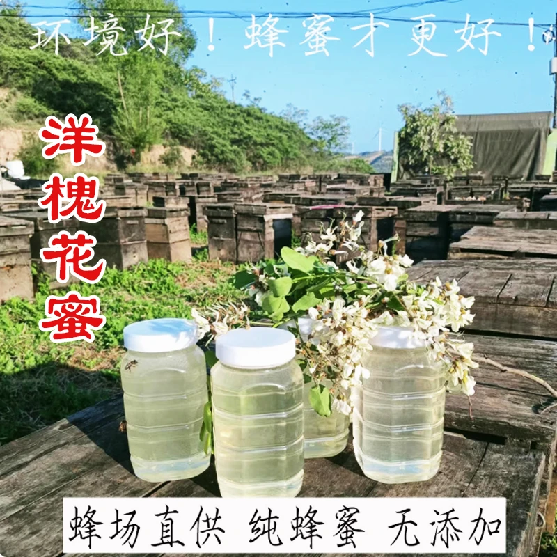 2025年甘肃深山纯农家洋槐花蜜五倍子蜂蜜包邮