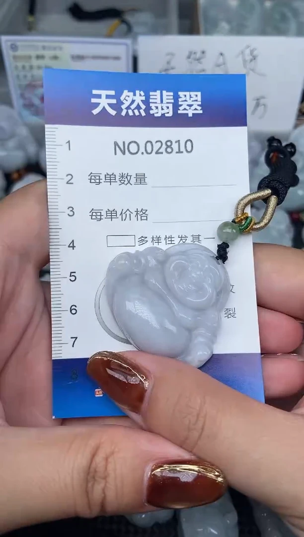 颈饰未镶嵌翡翠纯天然A货翡翠2810