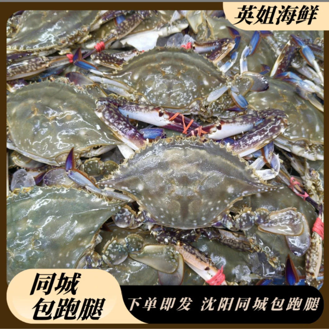 东港公母混蟹3斤【仅限沈阳市快递发】单只3-5两左右【保鲜不保活】