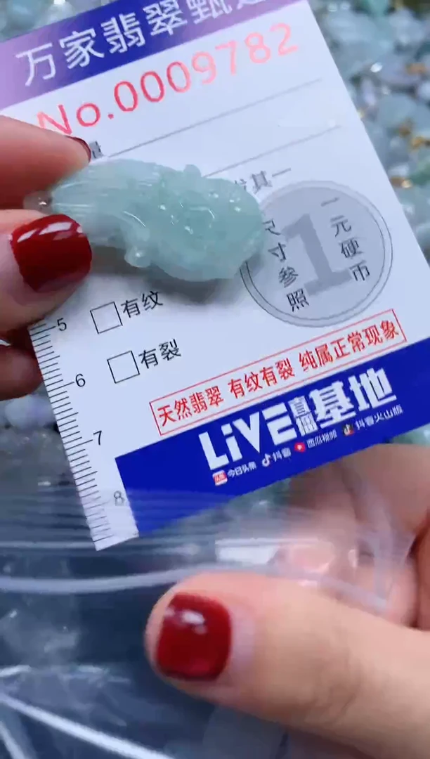 颈饰未镶嵌翡翠9782