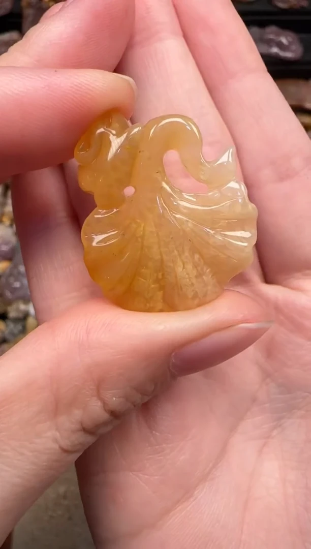 颈饰未镶嵌硅化珊瑚（珊瑚玉）616