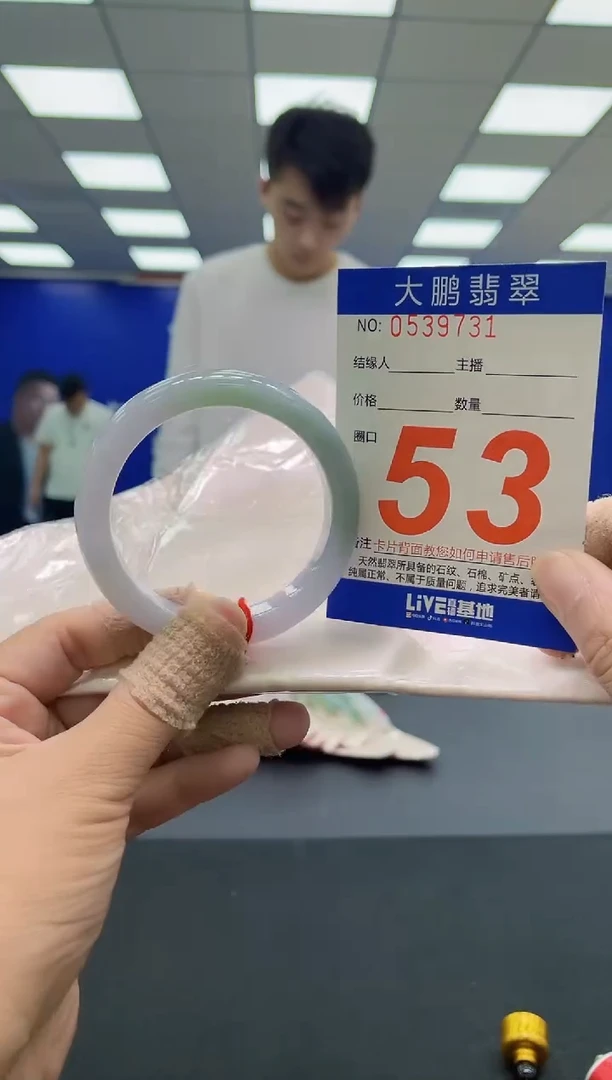 未镶嵌手镯翡翠 AAAAAAAAAA