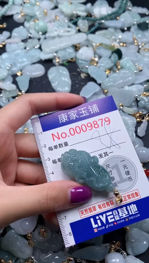 颈饰未镶嵌翡翠9879