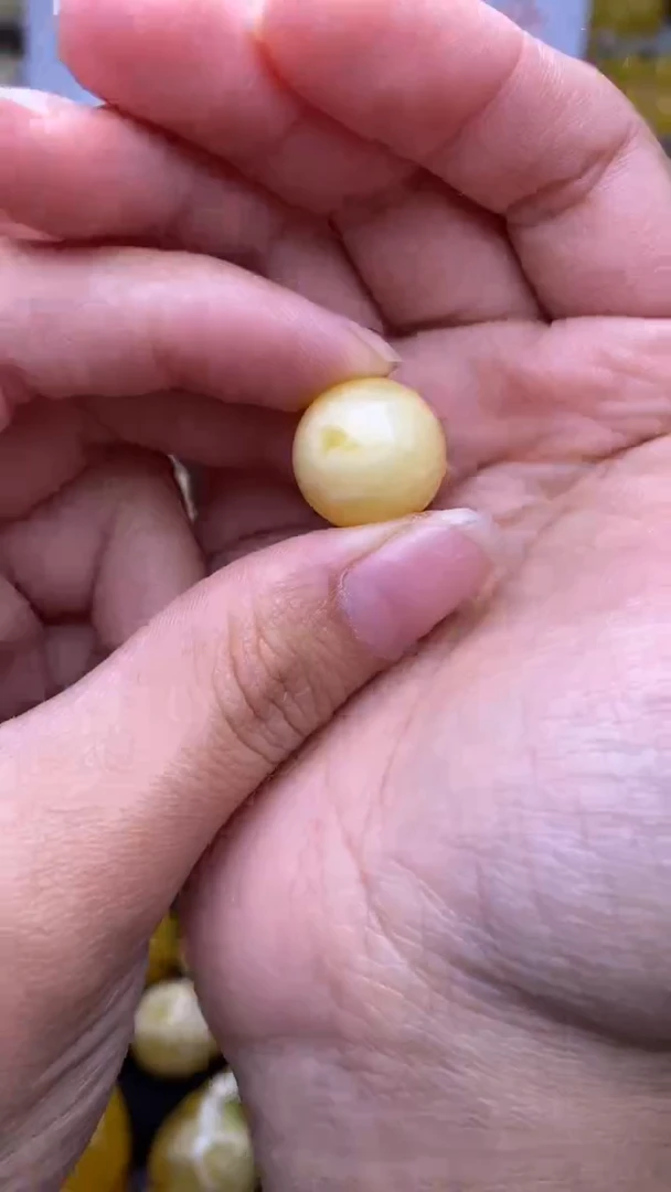 裸石蜜蜡未镶嵌葵.48