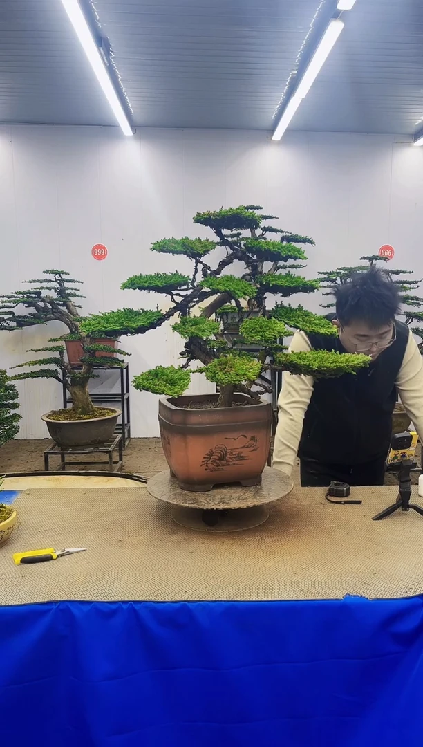 完全开放一物一拍，所见即所得