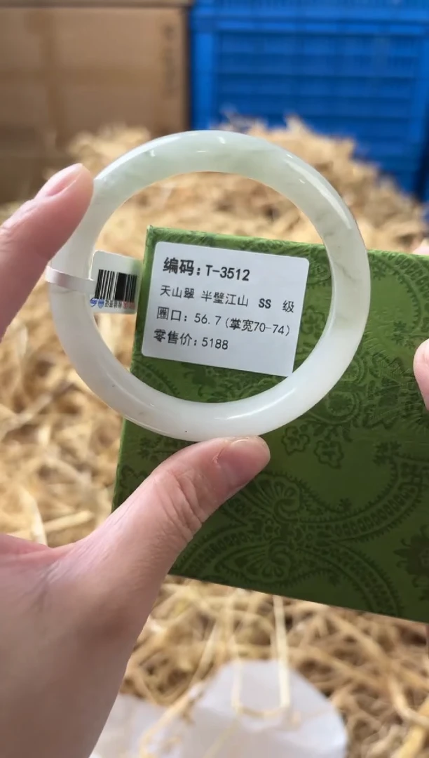未镶嵌手镯石英质玉T-3512