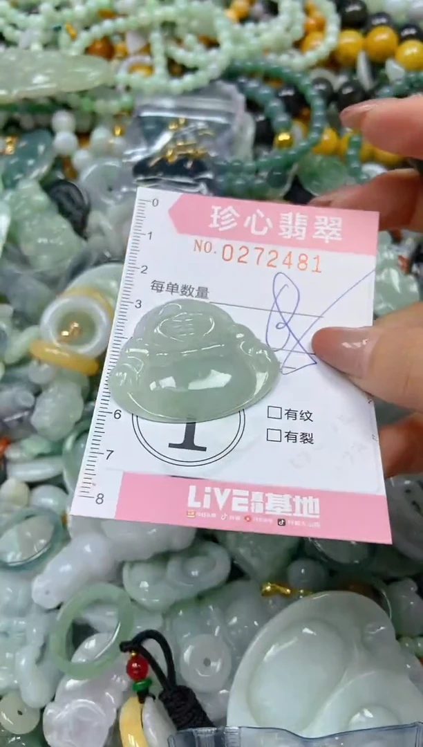 翡翠未镶嵌颈饰闪购0272481
