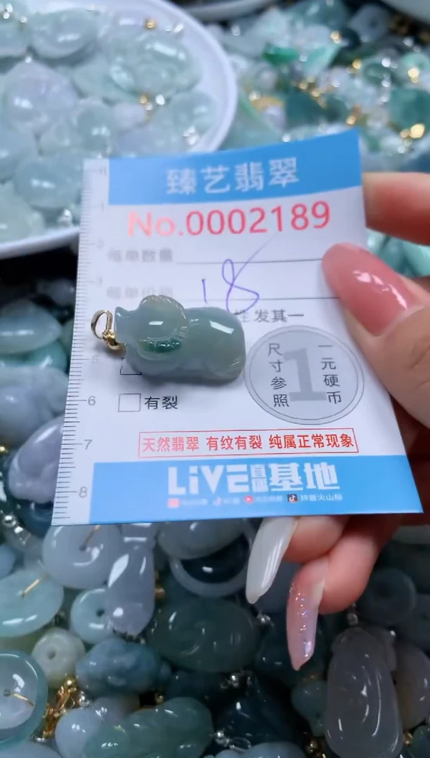 翡翠未镶嵌颈饰2189