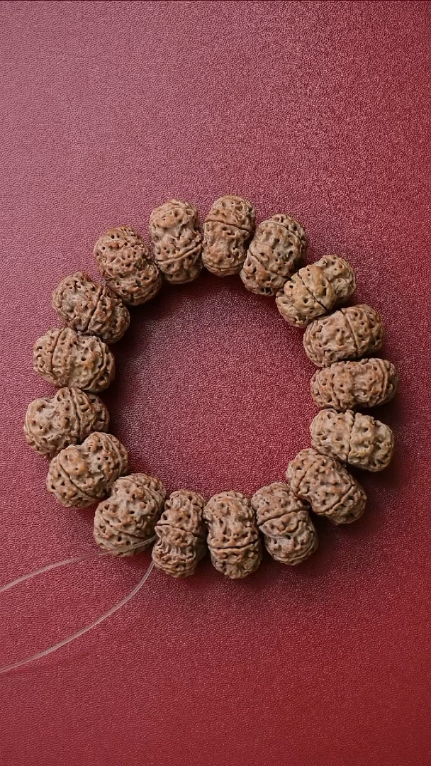 手串金刚菩提夹板24