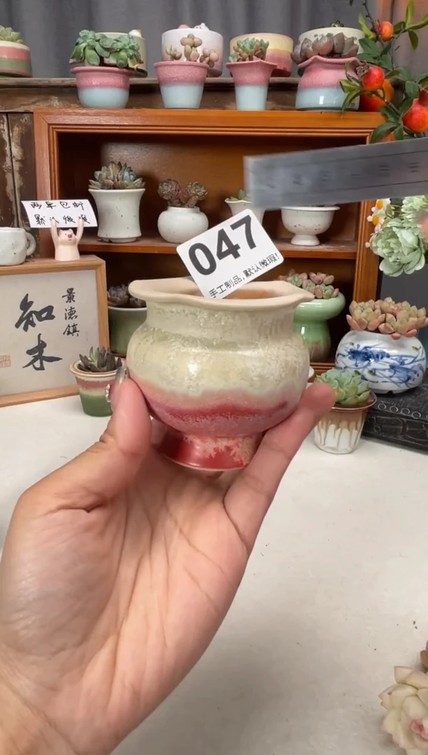 瓷片047知木小芳花盆编号