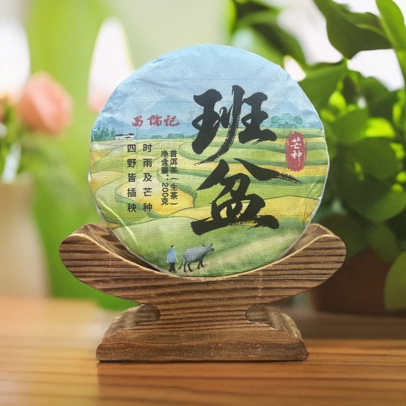【班盆古树】【芒种节气定制款】2023头春普洱生茶古树茶