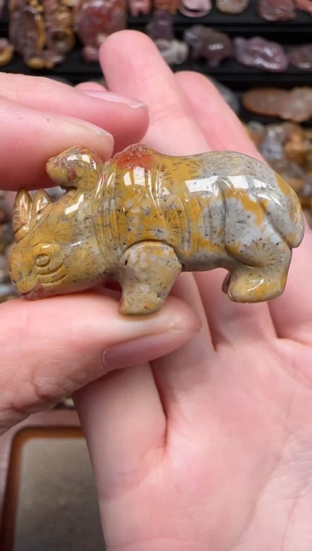 颈饰未镶嵌硅化珊瑚（珊瑚玉）768