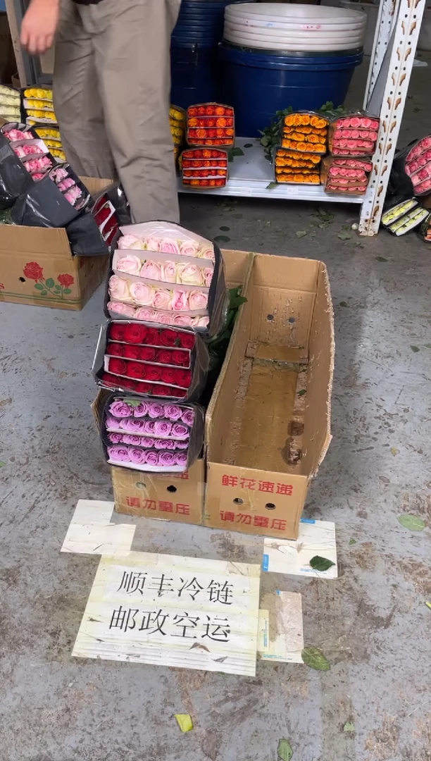 粉红2扎+高原红1扎+紫霞1扎
