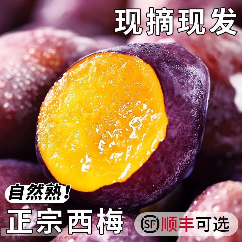 福瑞达正宗西梅当季新鲜水果现摘蓝蜜法兰西脆甜西梅李子大果包邮