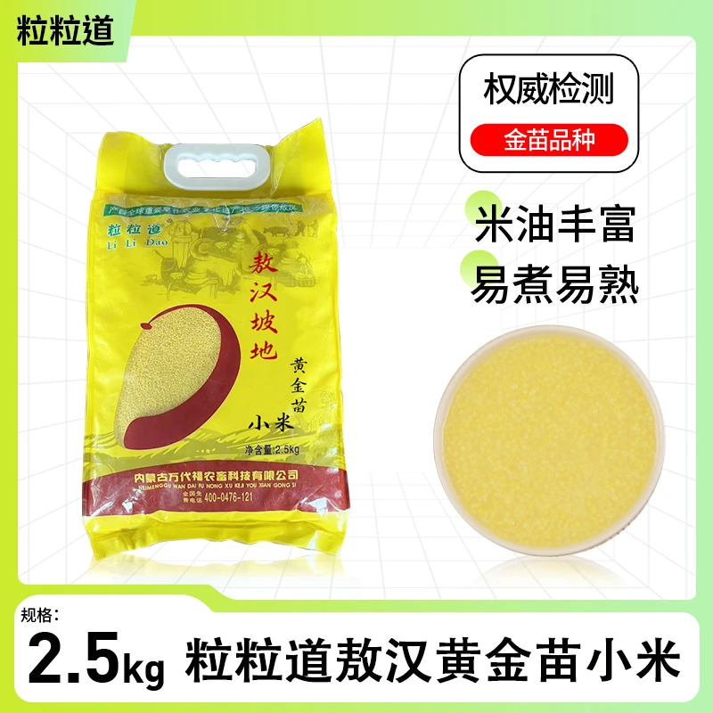 新鲜小米黄金苗敖汉新小米粒粒饱满色泽金黄熬粥
