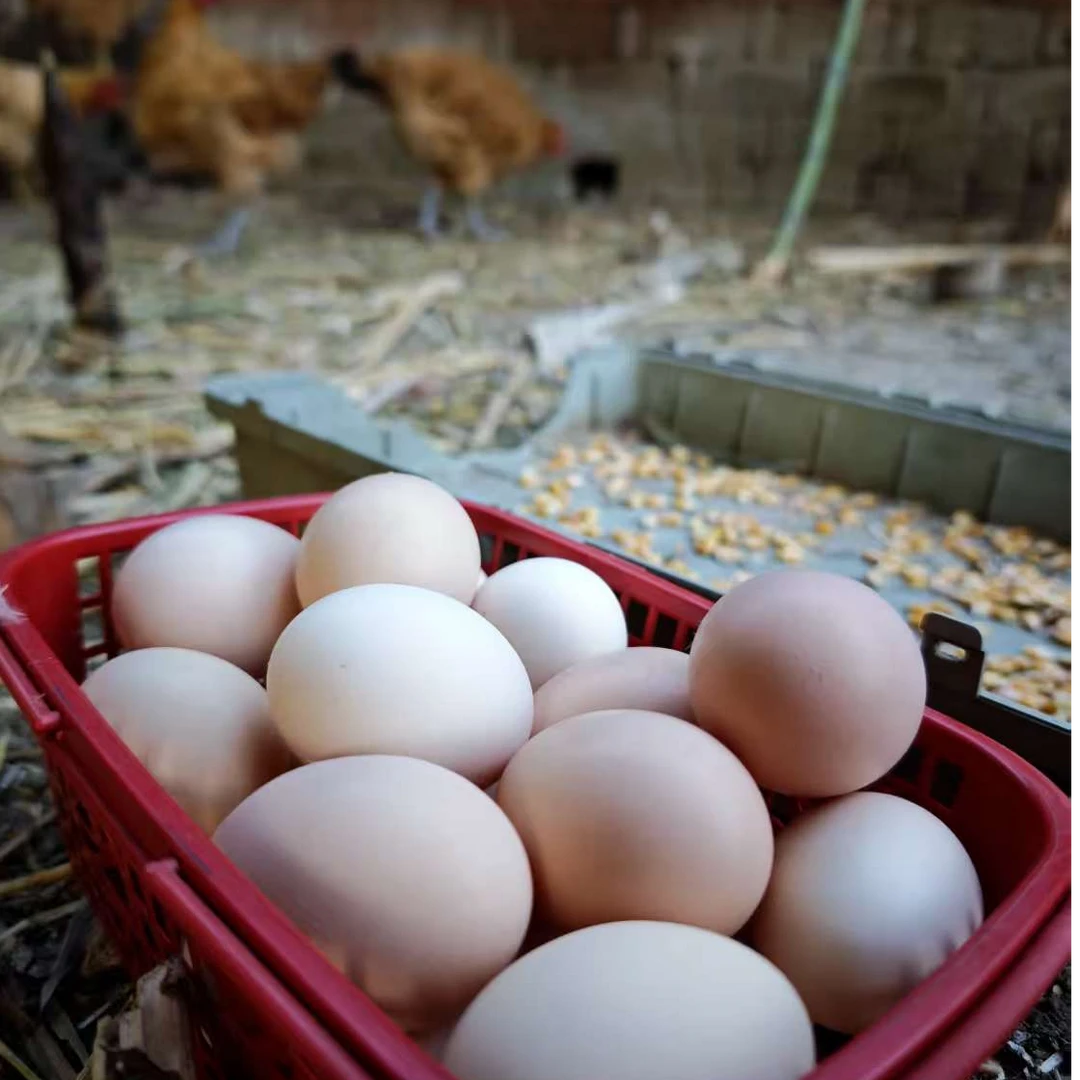 无品牌【村官严选】农户散养土鸡蛋张翰被起诉柴鸡蛋