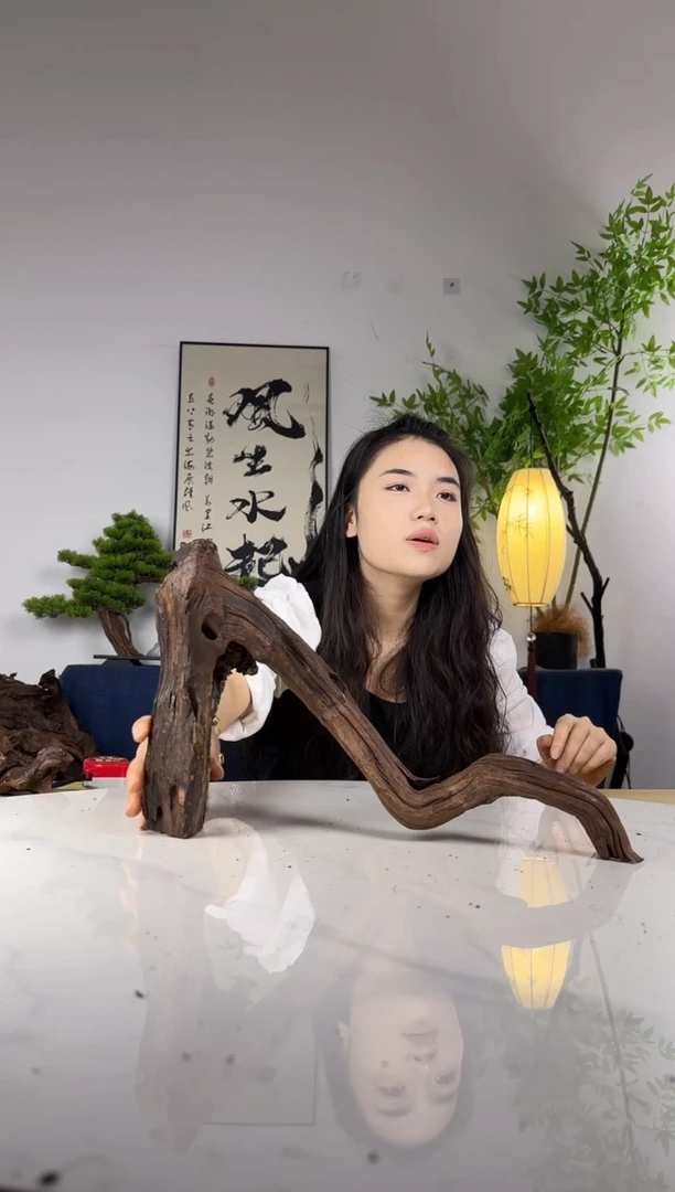 ?**?拍这个定向编号43