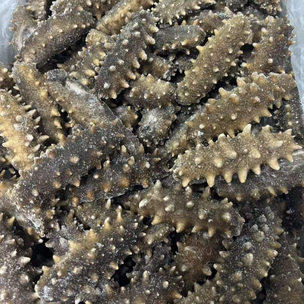 8-10头/斤正宗大连底播即食海参口感Q弹滋补营养送礼零添加