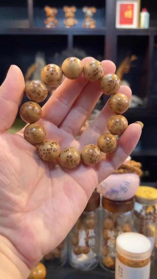 18瘤花圆珠太行太行