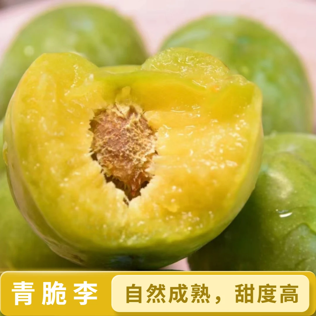 【青脆李 】37-43g精选大果（礼盒48枚）满口脆甜，每颗都很新鲜（顺丰）