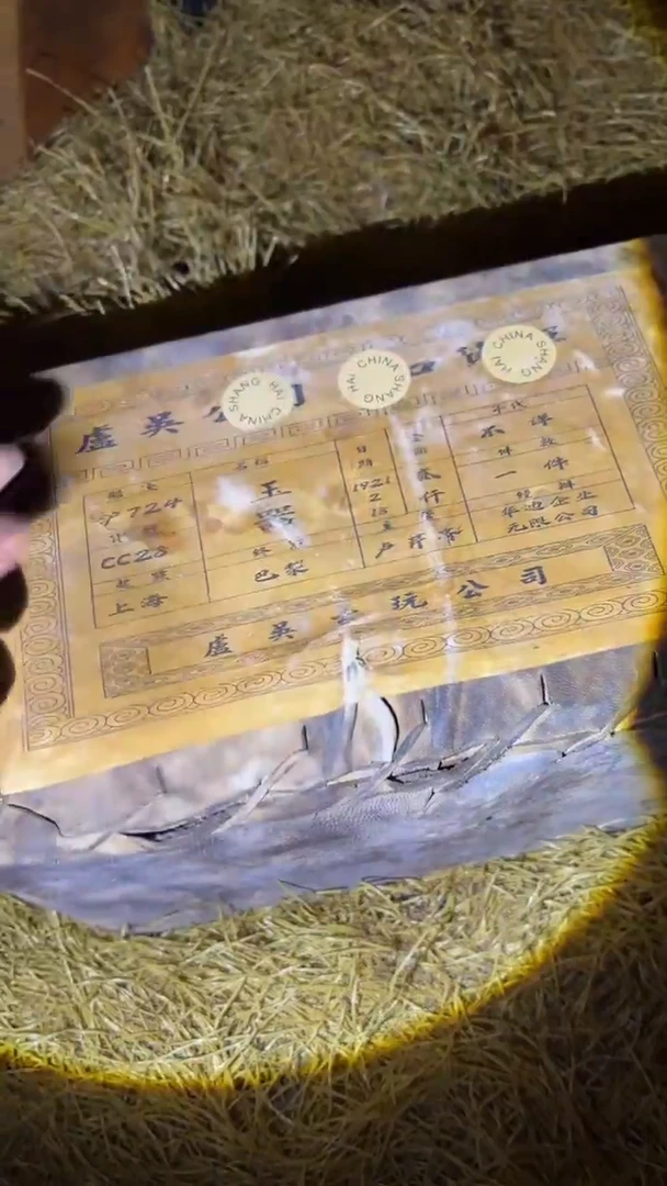 琪琪专属链接哈哈哈哈哈哈