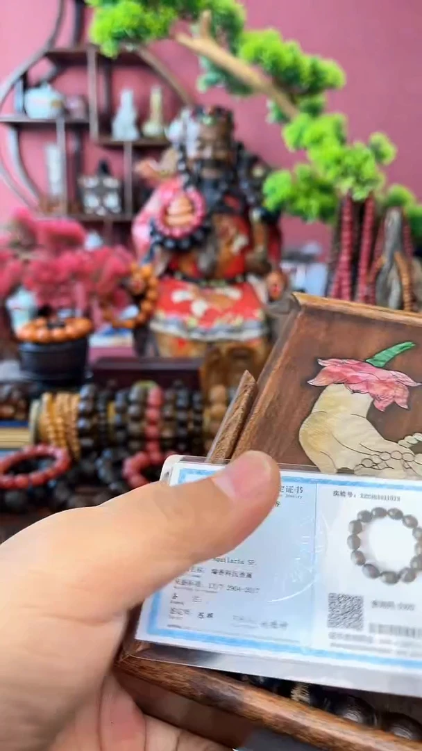 【闪购商品】木中之王号85-枣珠白