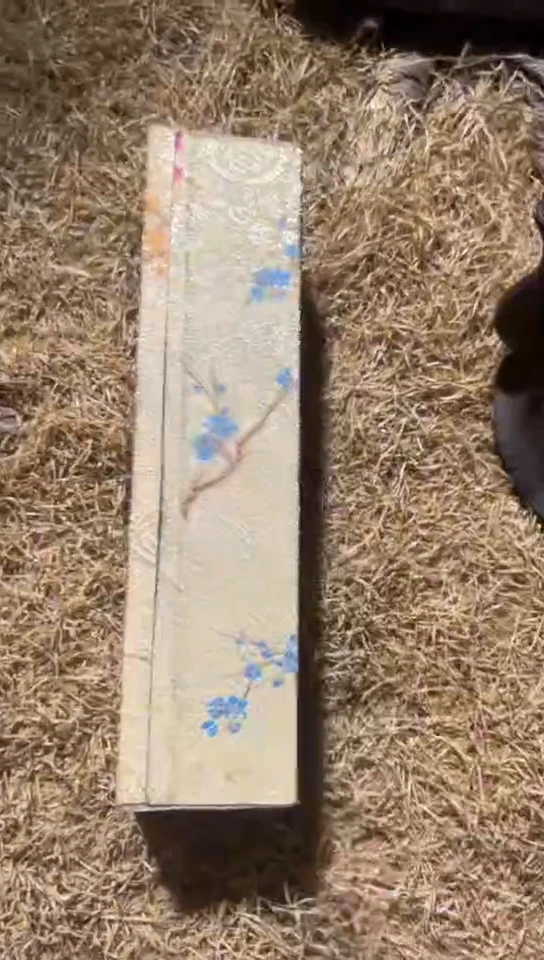 香榧木（1个李金色小盒子）