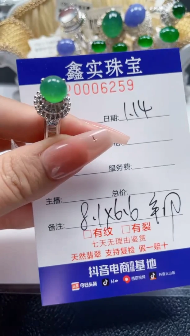 【闪购商品】翡翠颈饰未镶嵌/62590000