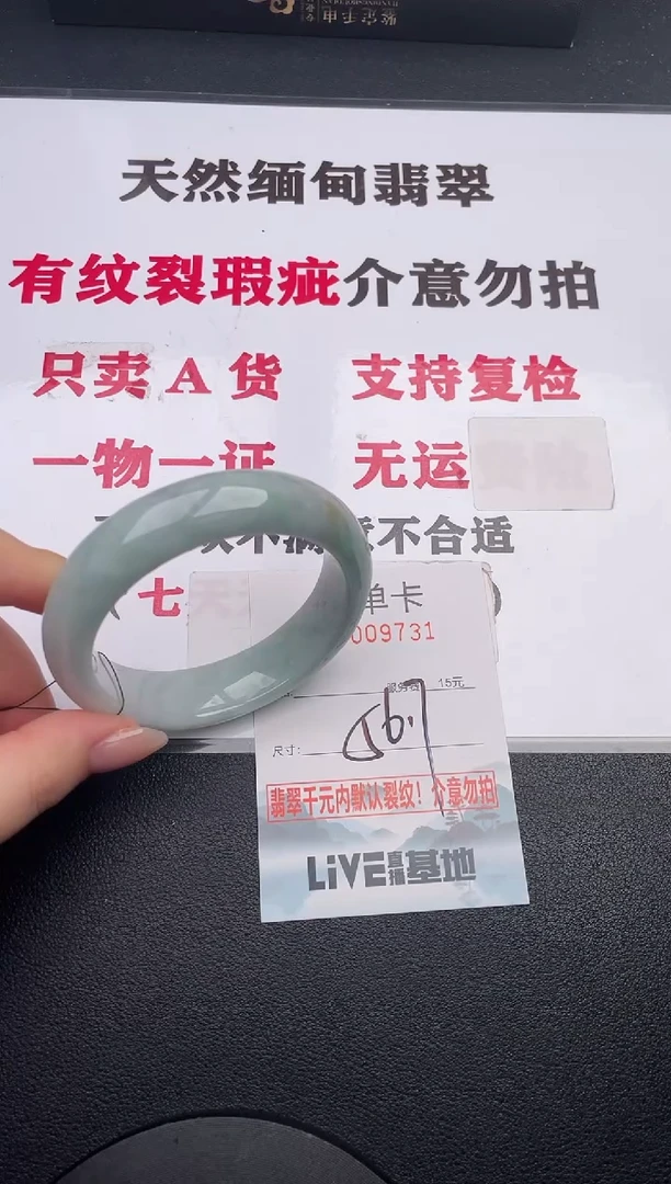 未镶嵌手镯翡翠31