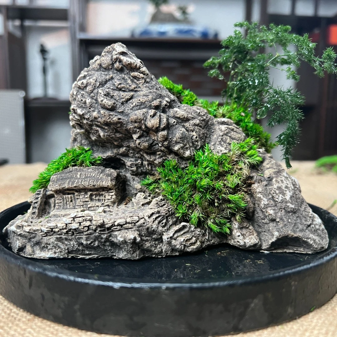 懒人吸水好打理微景观家居摆件