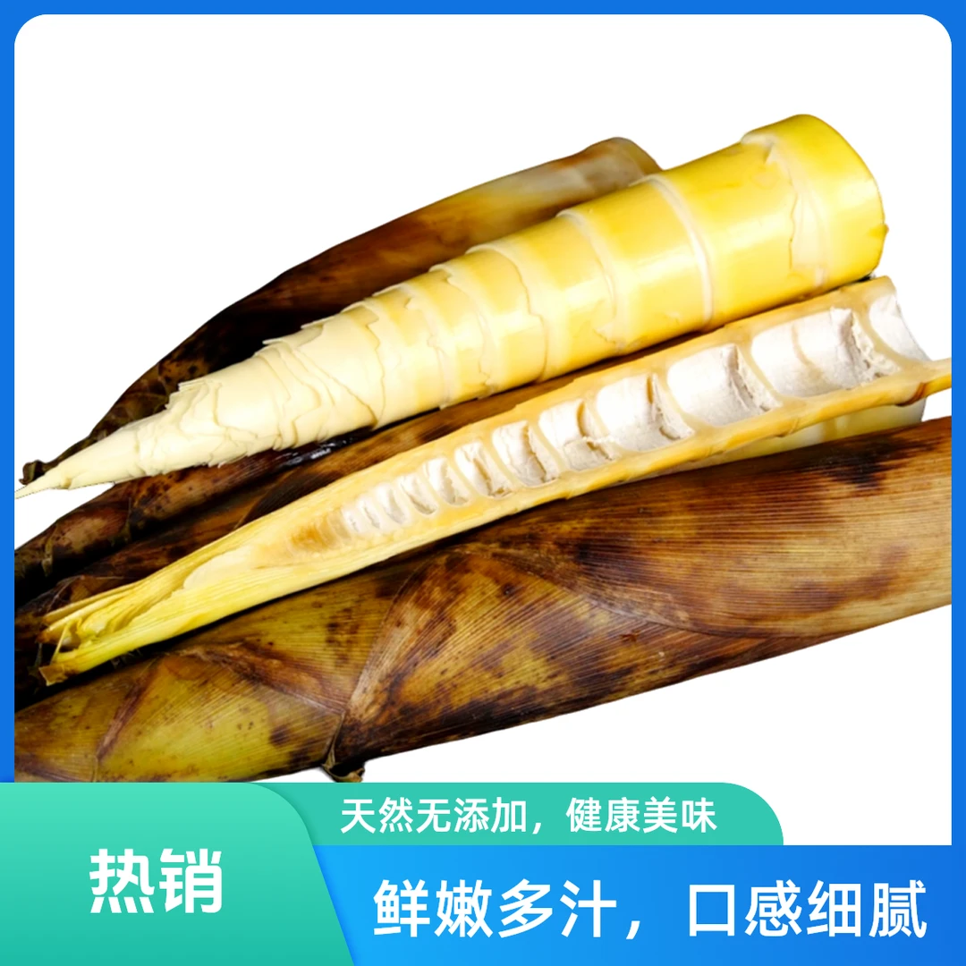 新鲜特大春笋1kg±20g