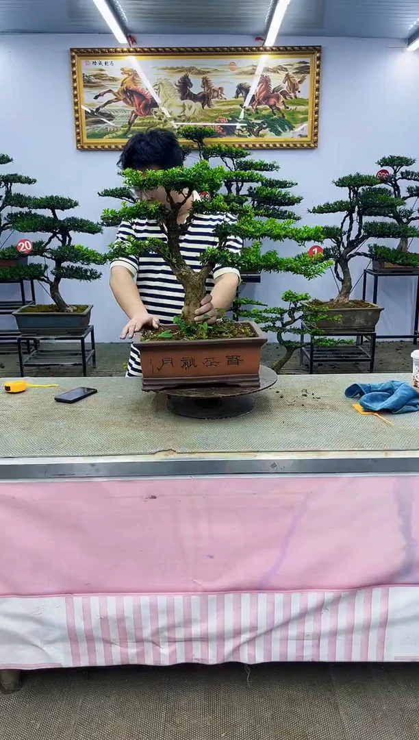 无花朵一物一拍，所见即所得