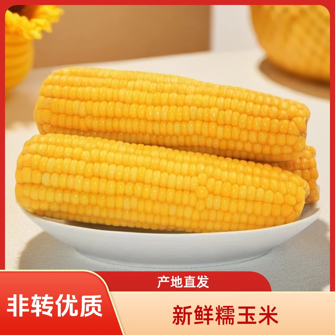 25年黄色鲜食糯玉米净含量（5斤以上、6到8根）非转基因(小翠专属)